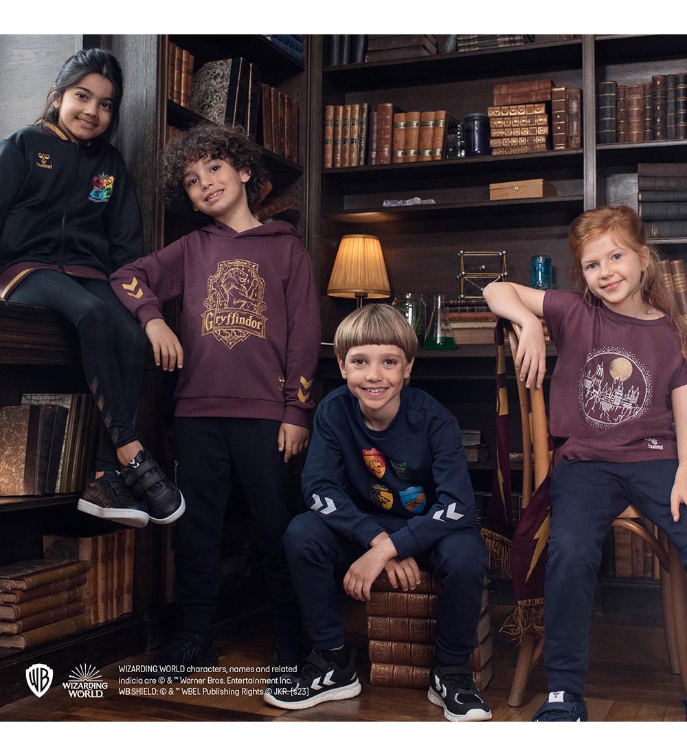 Hummel Hættetrøje - hmlHarry Potter - Catawba Grape
