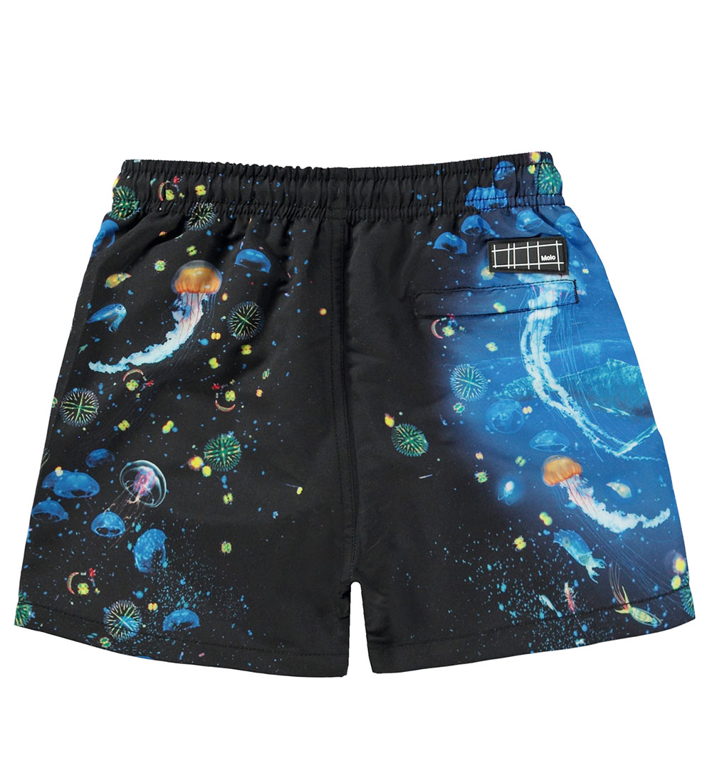Molo Badeshorts - UV50+ - Niko - Plankton