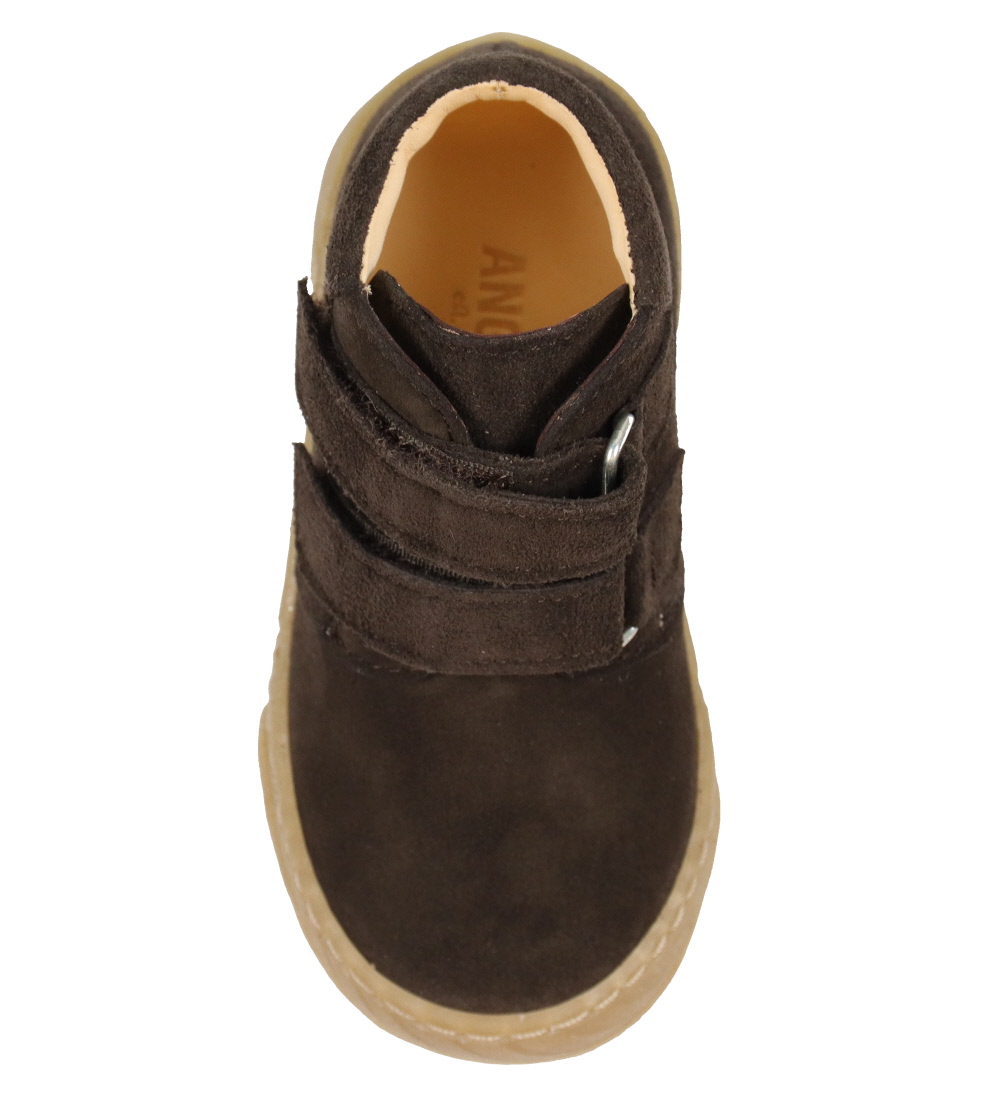 Angulus Begyndersko - Dark Brown