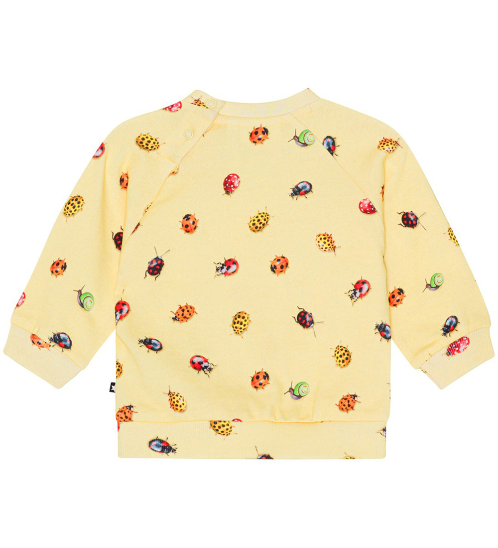 Molo Sweatshirt - Disc - Coccinella