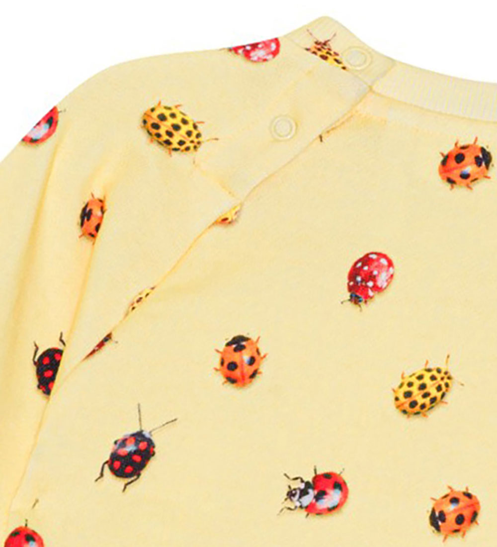 Molo Sweatshirt - Disc - Coccinella