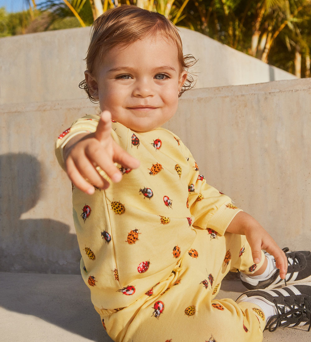Molo Sweatshirt - Disc - Coccinella