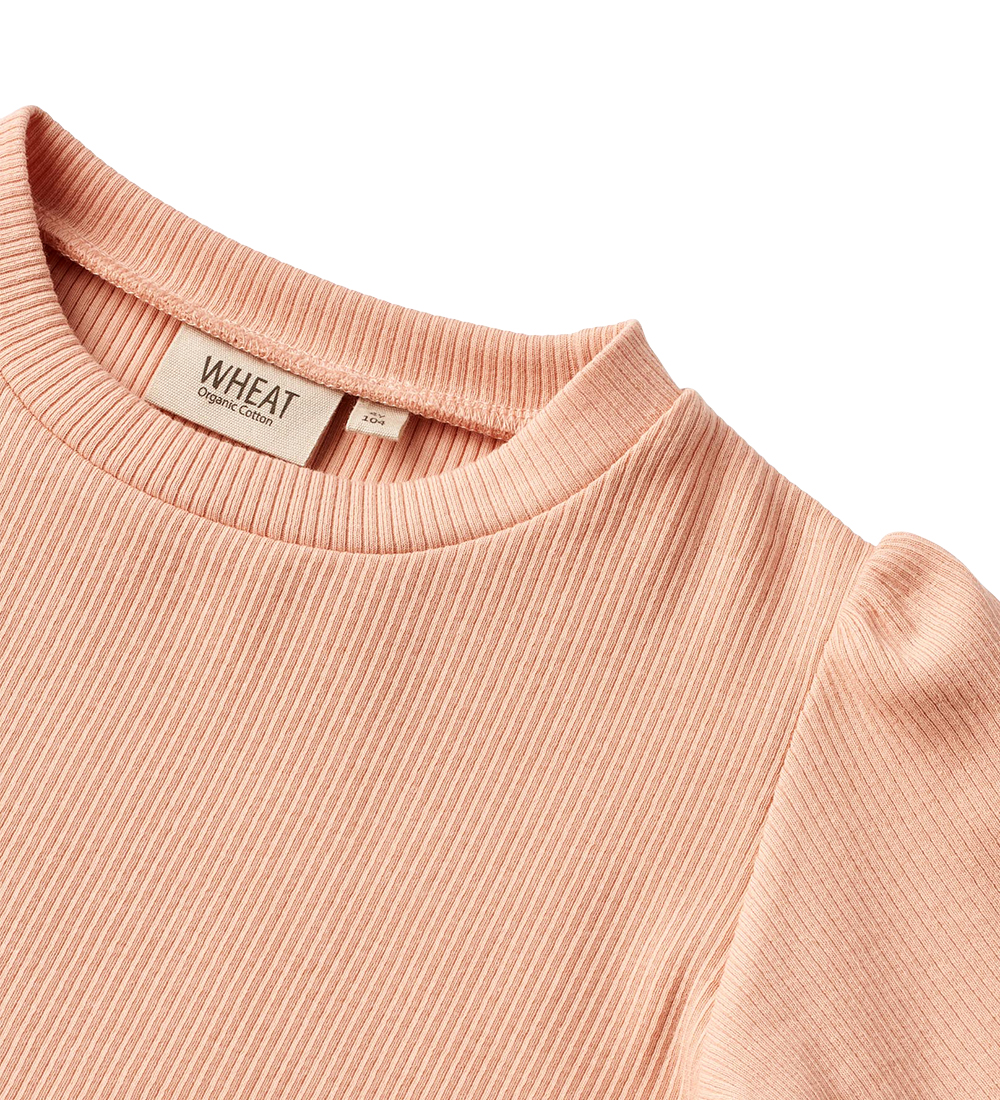 Wheat T-shirt - Rib - Iris - Soft Coral