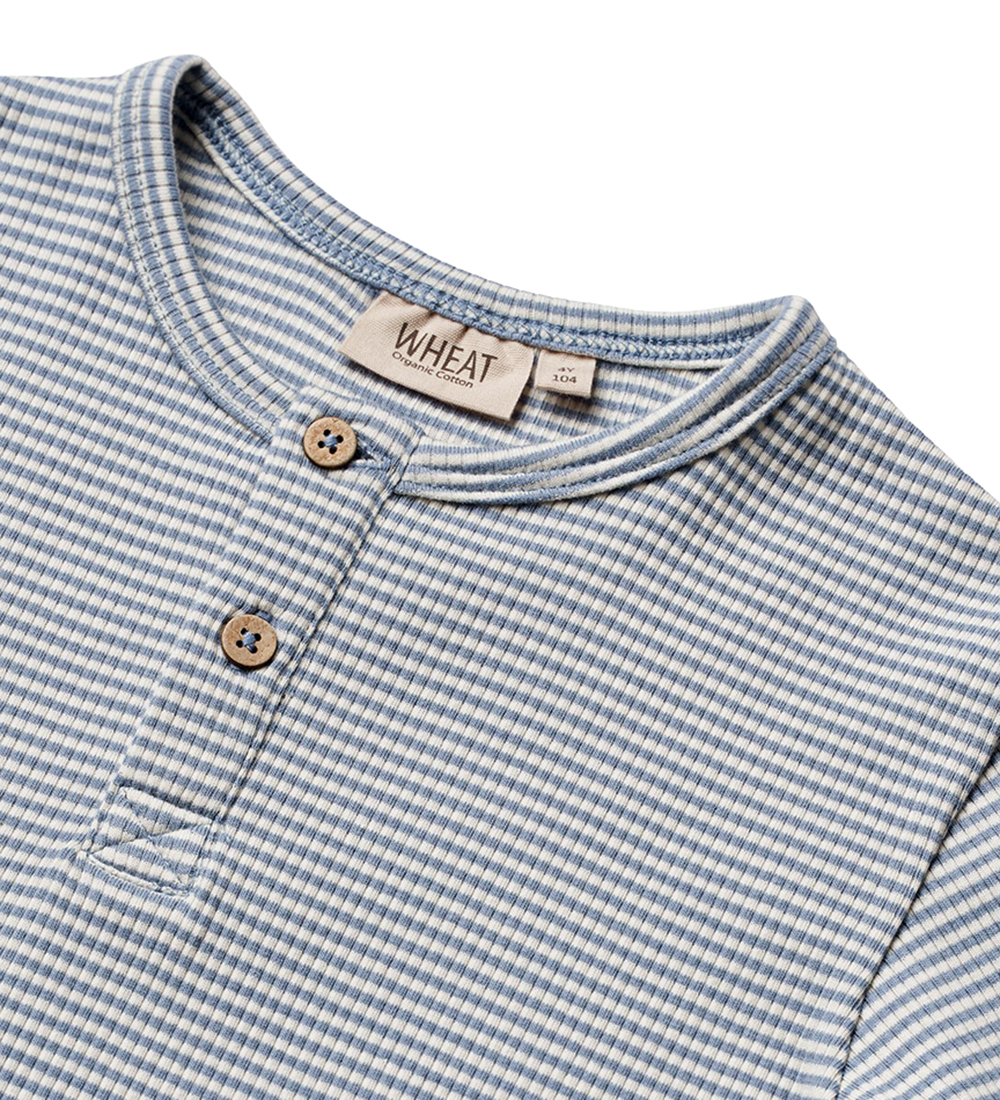 Wheat T-shirt - Rib - Lumi - Blue Stripe