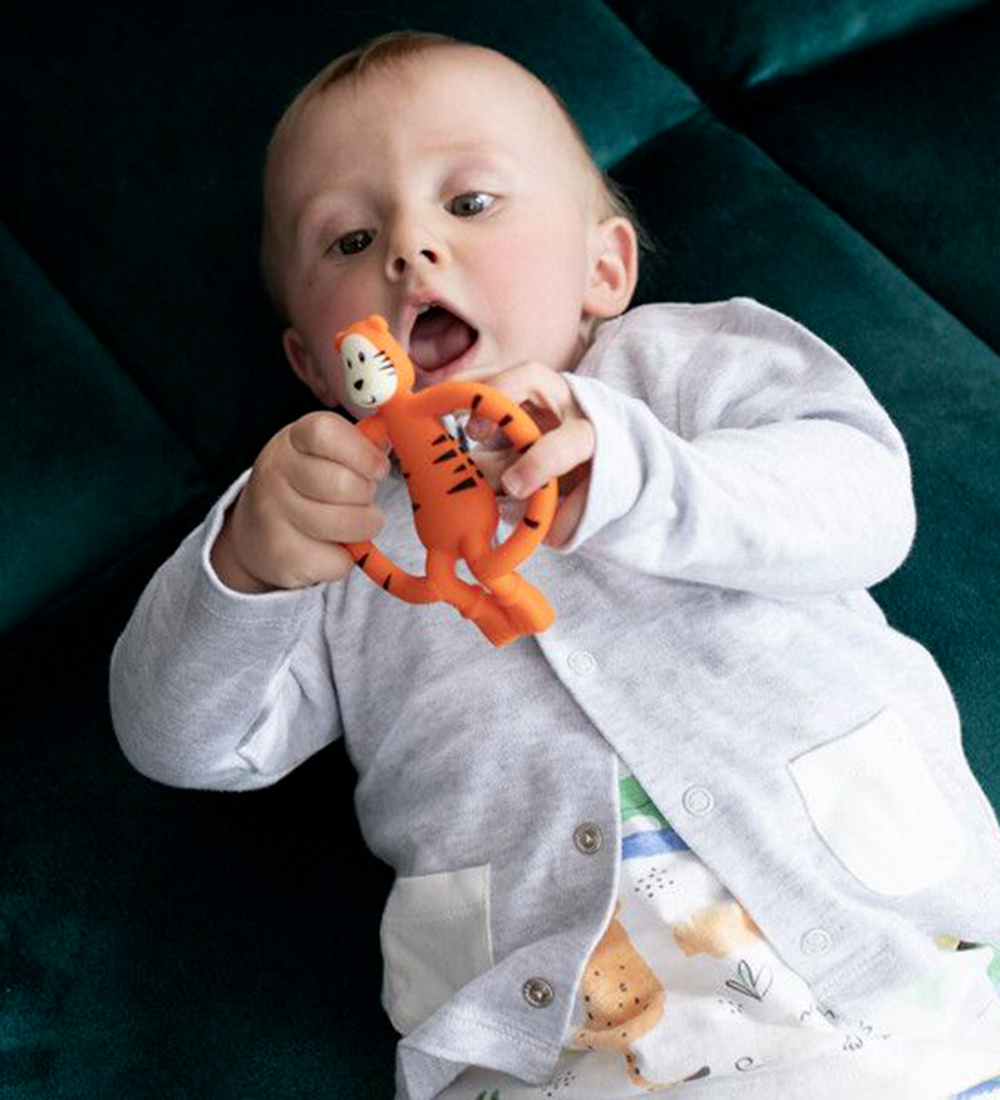 Matchstick Monkey Bidering - Teddy Tiger