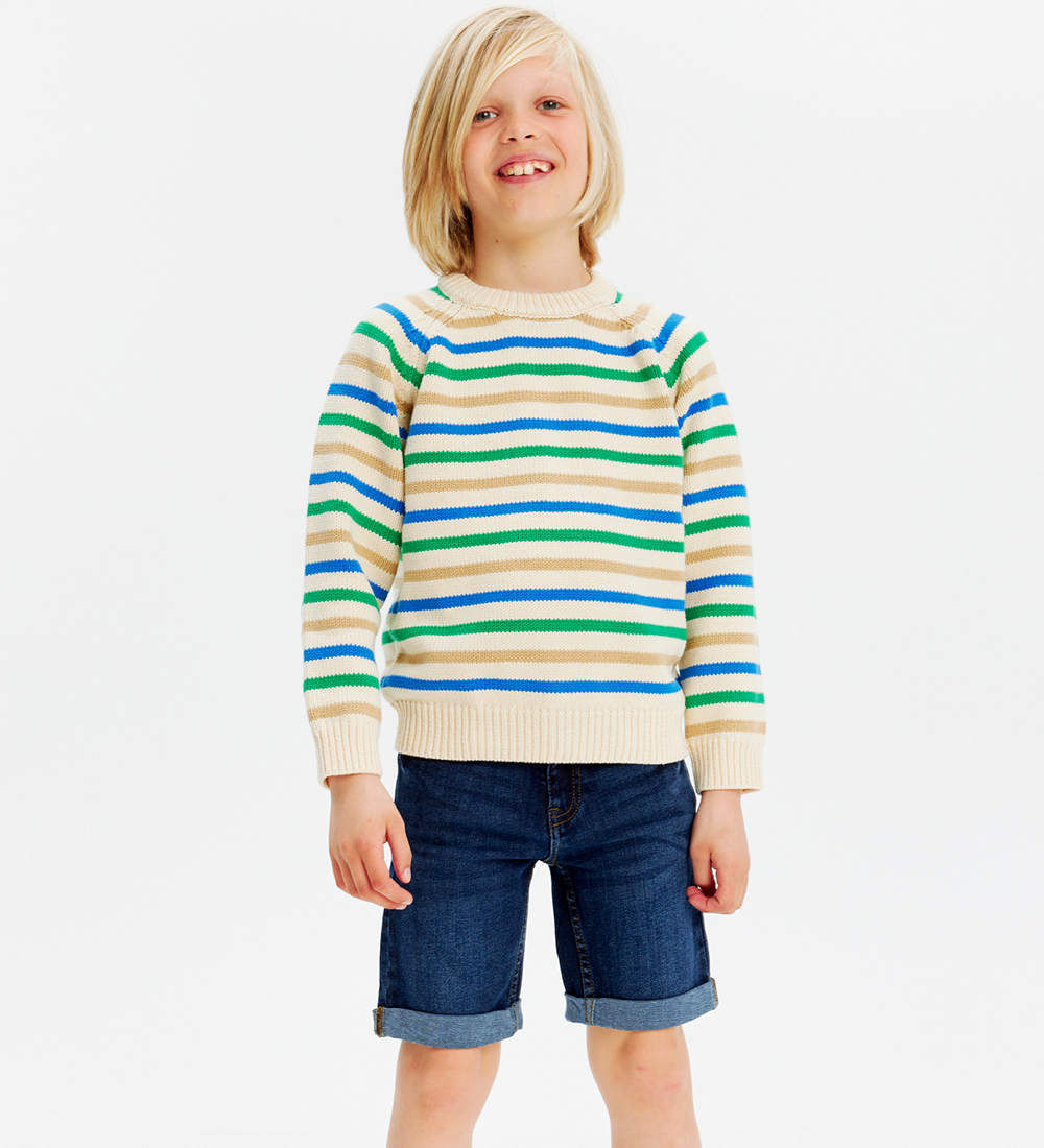 The New Denimshorts - Dark Blue