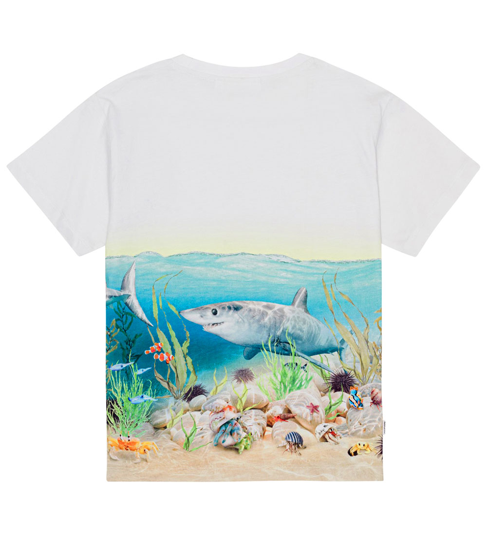 Molo T-shirt - Raveno - Shore Sharks
