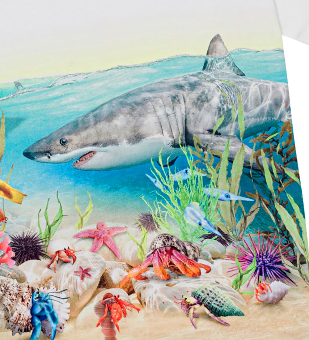 Molo T-shirt - Raveno - Shore Sharks