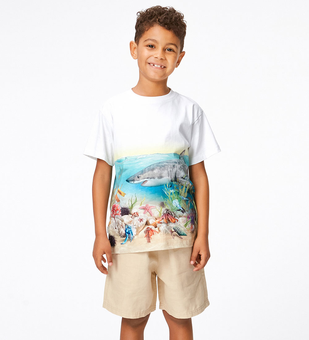 Molo T-shirt - Raveno - Shore Sharks
