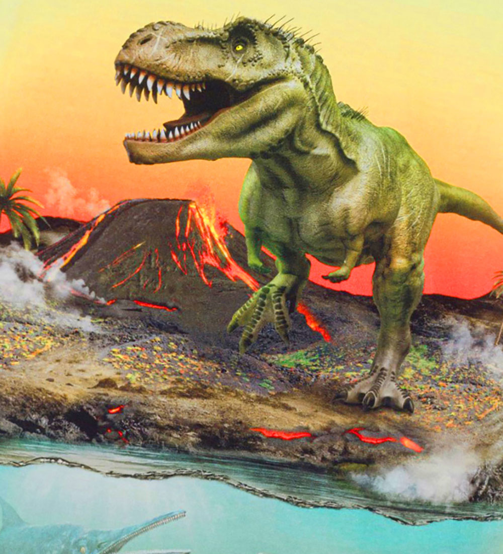 Molo T-shirt - Riley - Volcano Dino