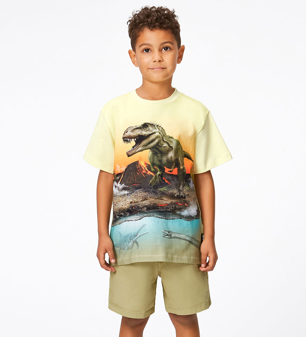 Molo T-shirt - Riley - Volcano Dino