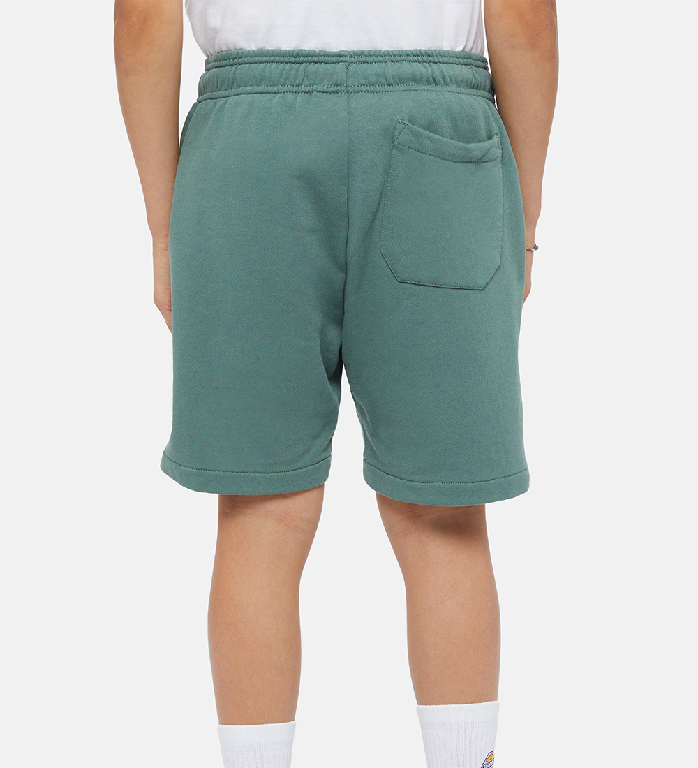 Dickies Sweatshorts - Youth Mapleton - Dark Forest
