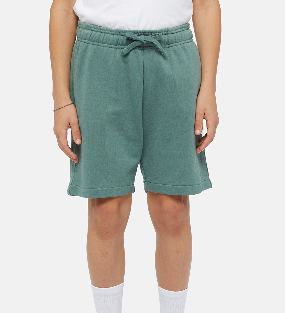 Dickies Sweatshorts - Youth Mapleton - Dark Forest