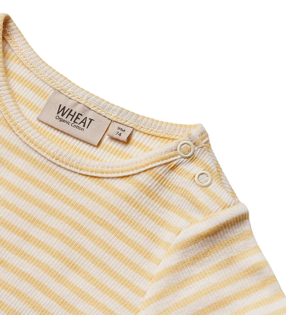 Wheat Body k/æ - Rib - Elisa - Pale Apricot Stripe