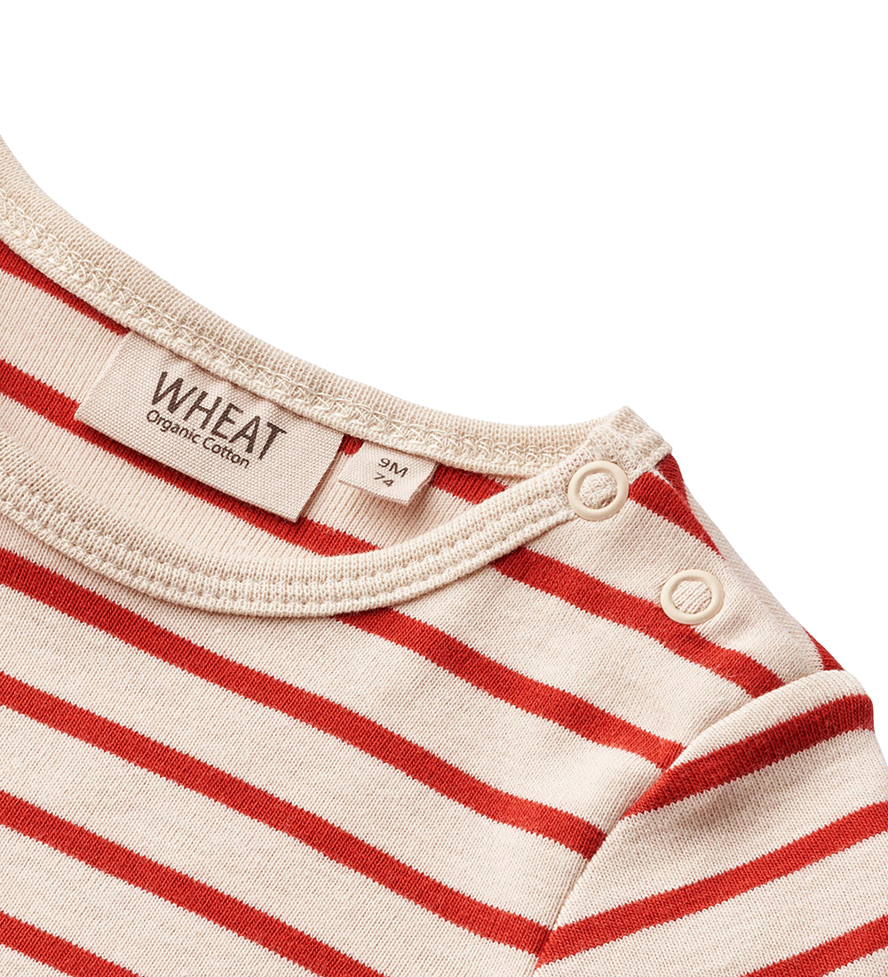 Wheat Body k/æ - Edvald - Red Stripe