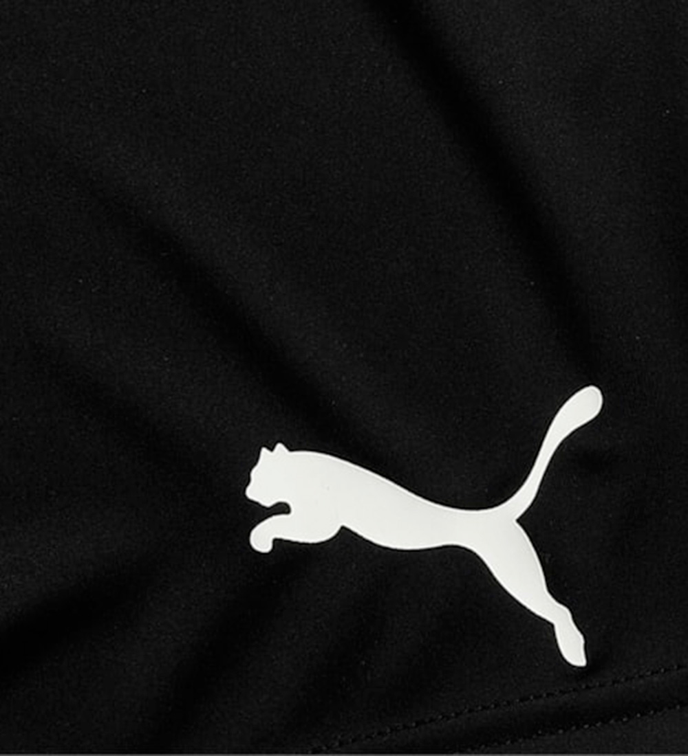 Puma Shorts - Active Interlock - Sort