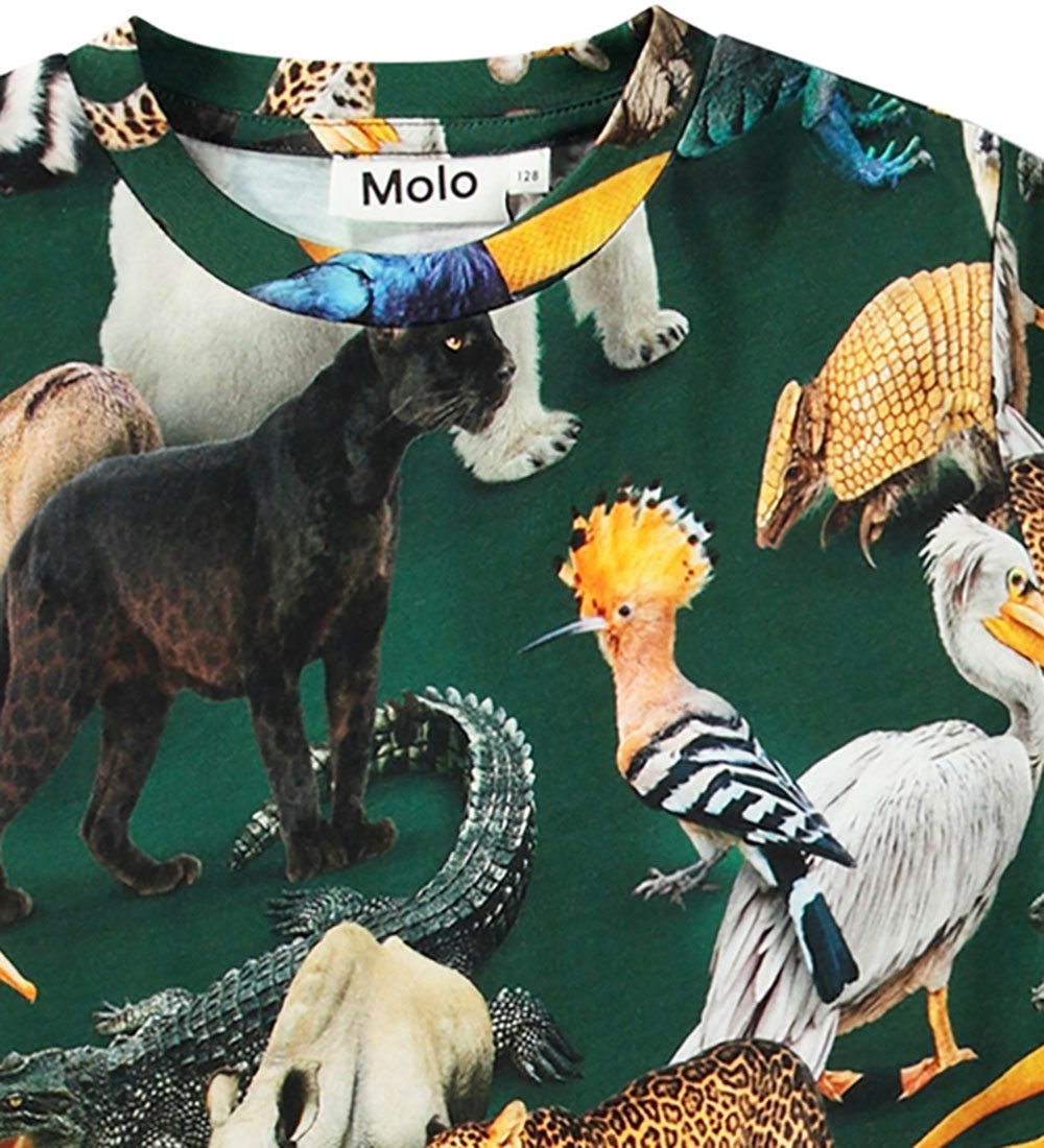 Molo T-shirt - Ralphie - Mixed Animals