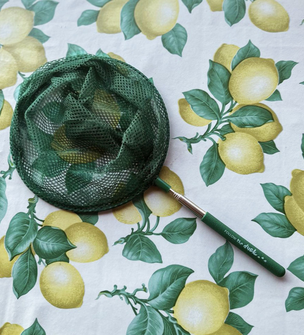 Follow the Duck Net - Telescopic Net - Dark Green