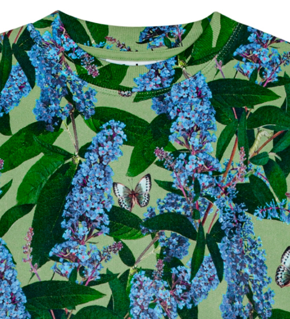Molo Sweatshirt - Marika - BuddLeja Garden
