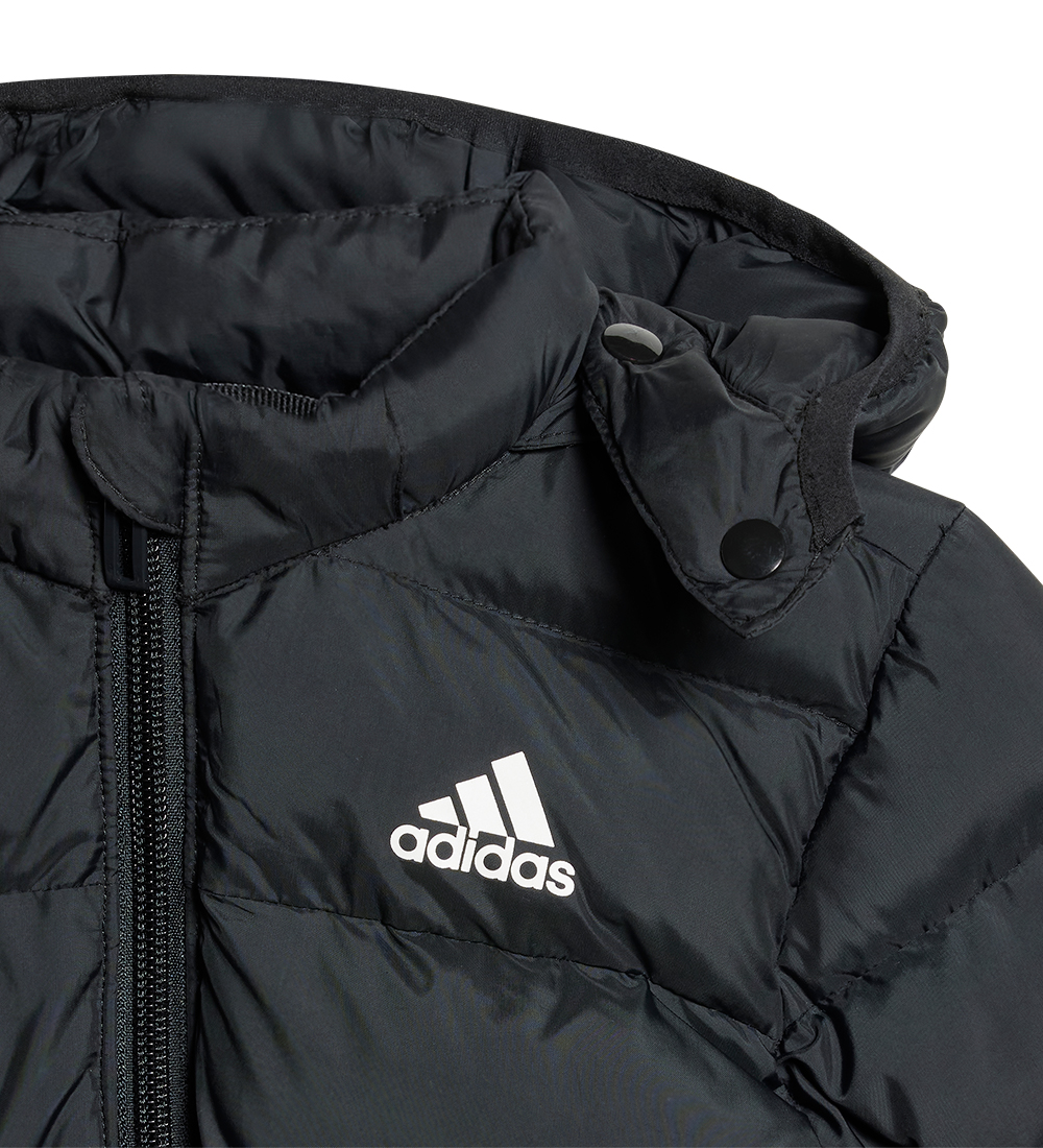 adidas Performance Dynejakke - Sort