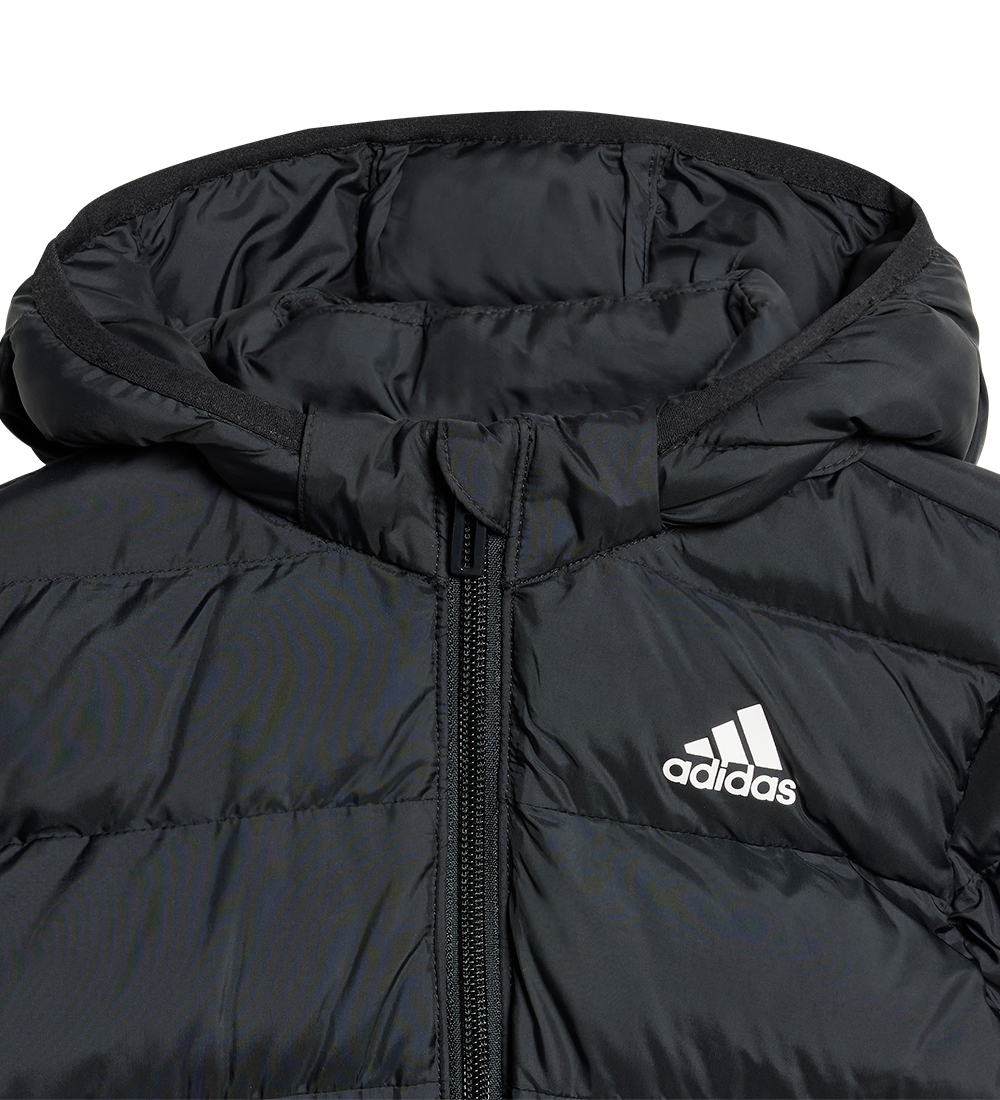 adidas Performance Dynejakke - Sort