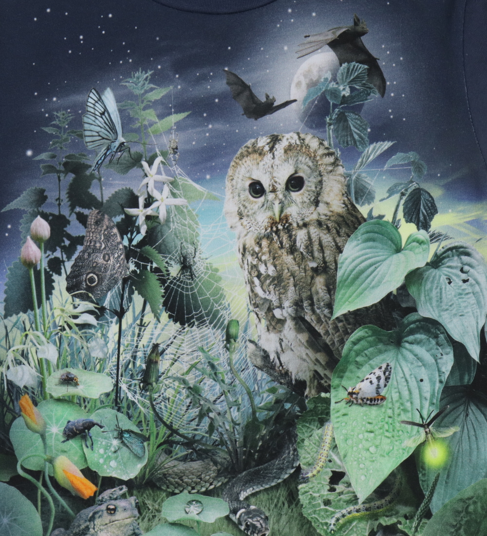Molo T-shirt - Roxo - Night Garden