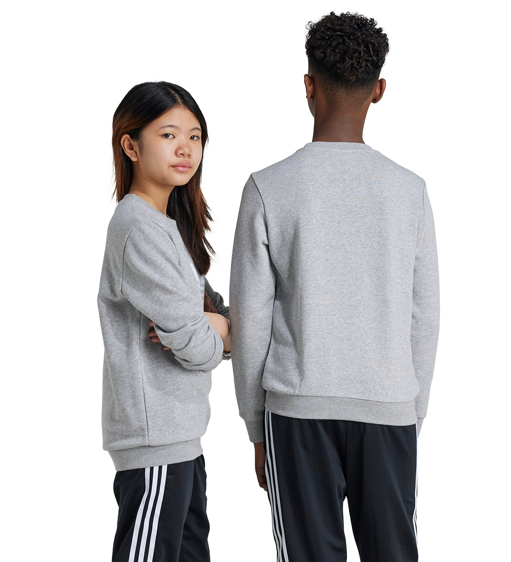 adidas Originals Sweatshirt - trefoil Crew - Gråmeleret
