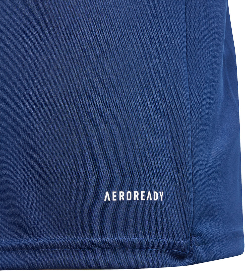adidas Performance T-shirt - Fortore23 JSY Y - Tenablue/White