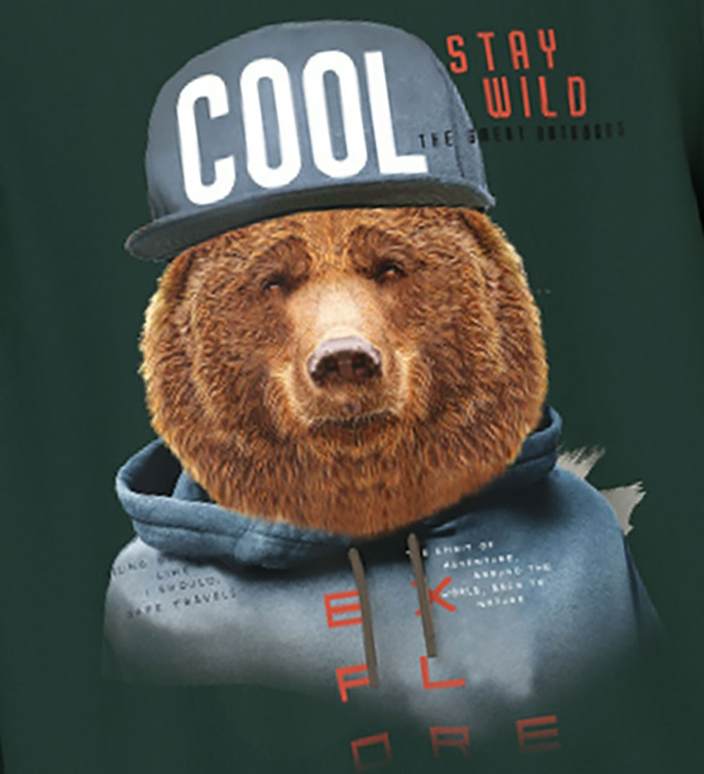 Name It Sweatshirt - NmmLabear - Pine Grove