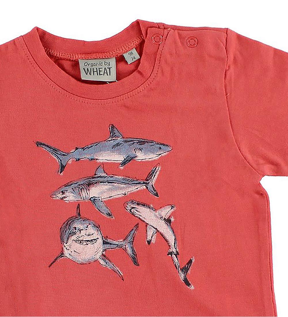 Wheat T-shirt - Rød m. Hajer