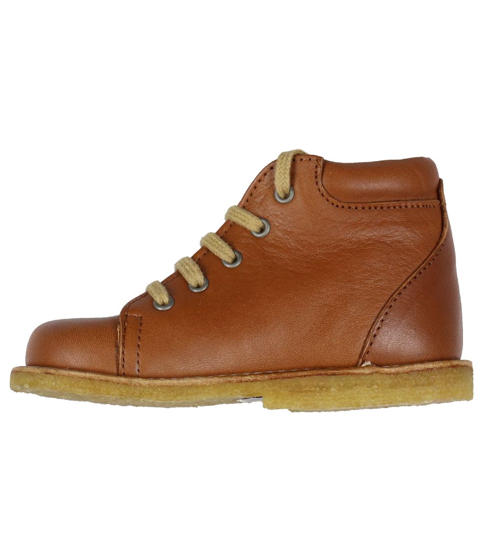Angulus Begyndersko - Cognac
