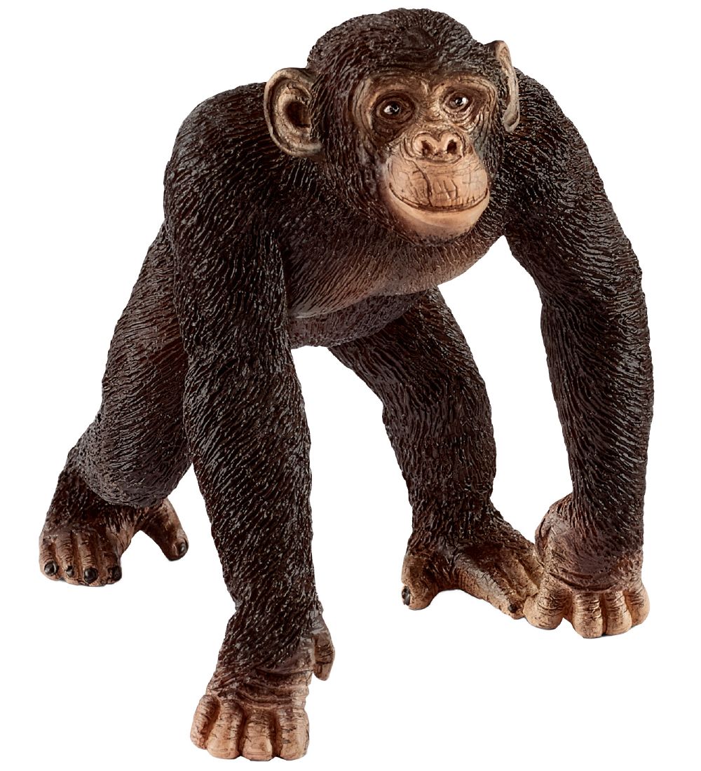 Schleich Dyr - Chimpanse - H: 6 cm 14817