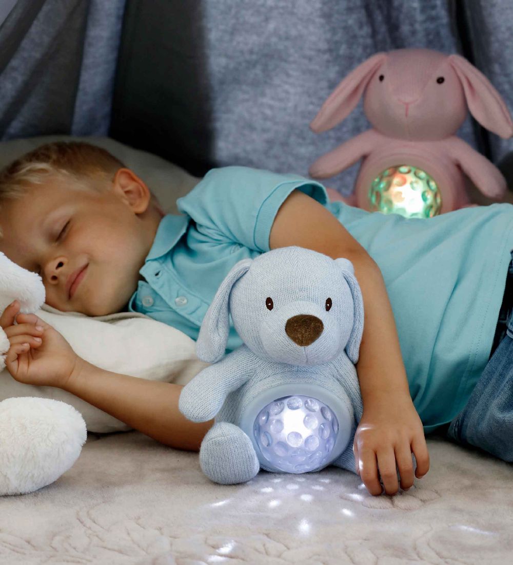 Teddykompaniet Bamse Natlampe - Teddy Lights - 22 cm - Hund