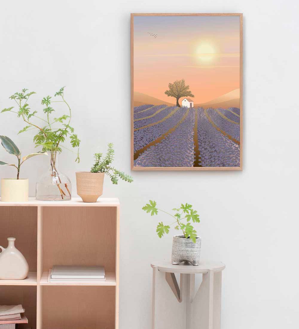 Vissevasse Plakat - 50x70 - Lavender Field