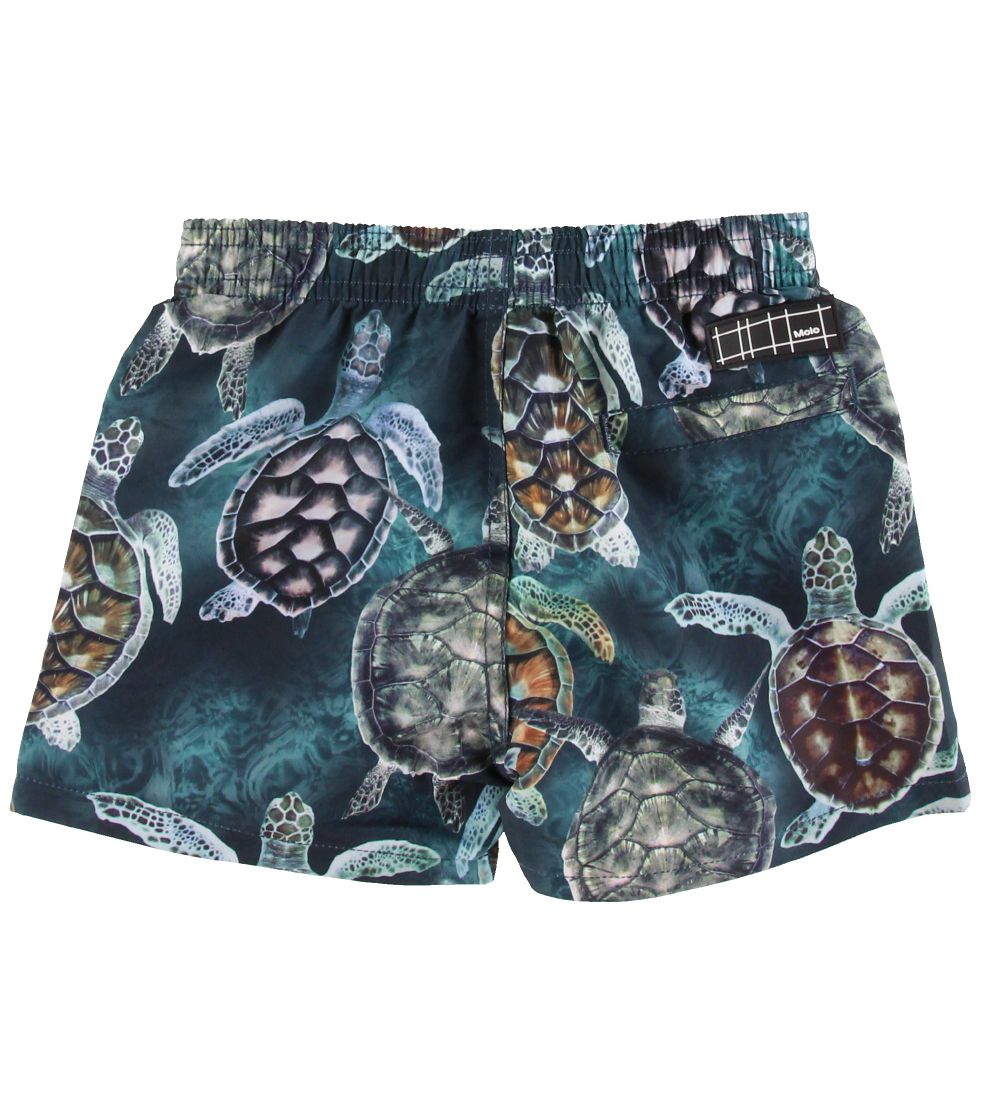 Molo Badeshorts - UV50+ - Niko - Sea Turtles