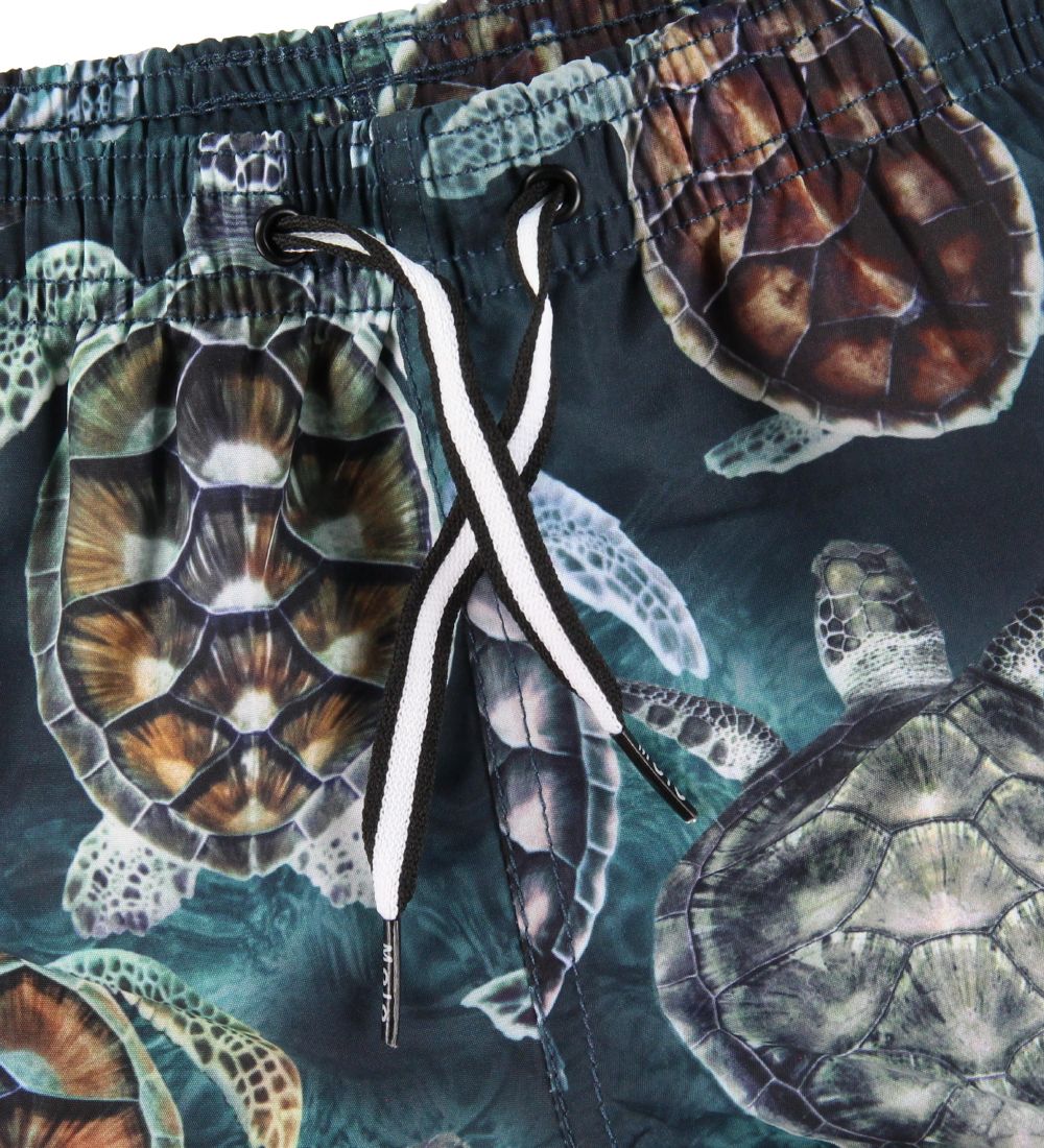 Molo Badeshorts - UV50+ - Niko - Sea Turtles