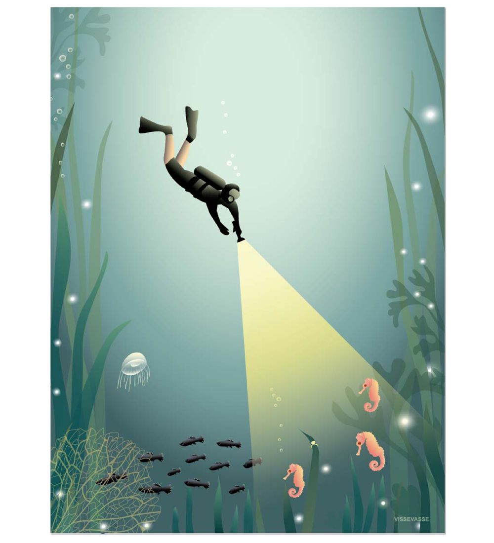 Vissevasse Plakat - 50x70 - The Diver