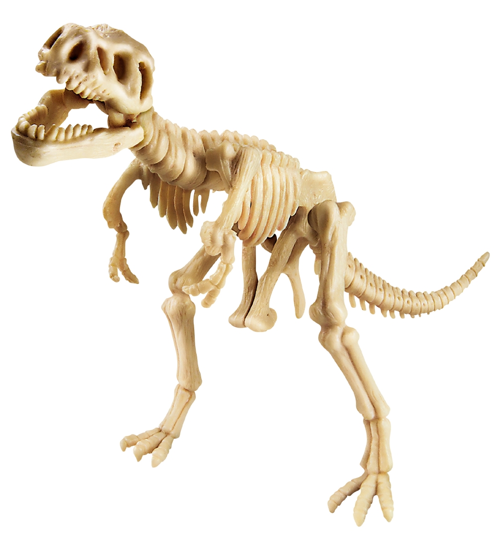 4M - KidzLabs - Udgravning Tyrannosaurus Rex