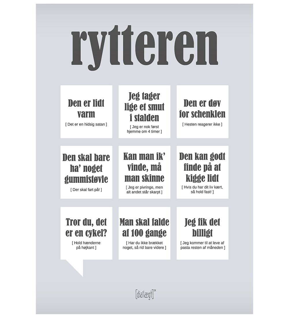 Dialgt Plakat - 30x42 - Rytteren