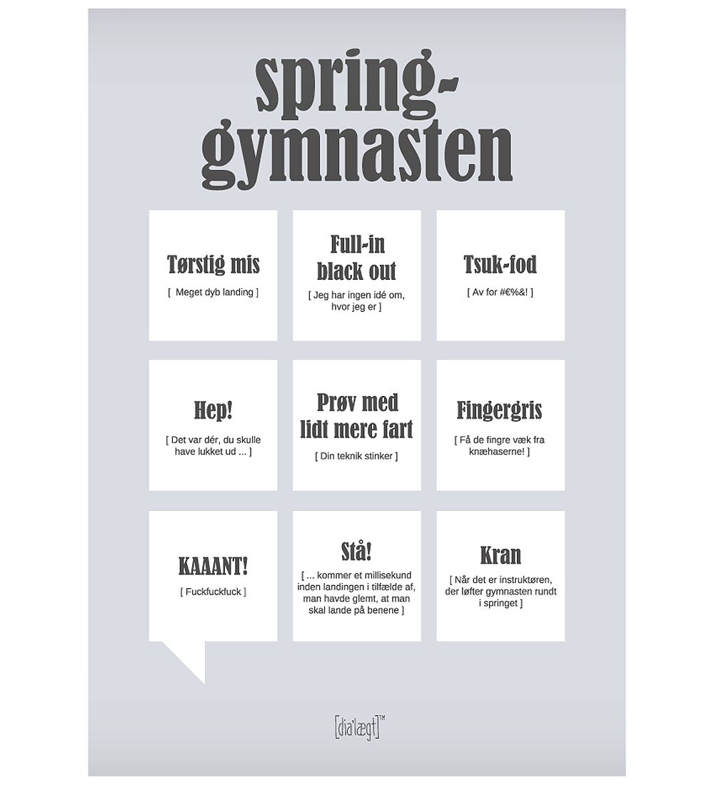 Dialgt Plakat - 30x42 - Spring-Gymnasten