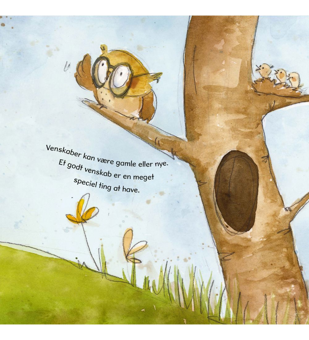 A Big Hug Book Bog - Venskab Er Ligesom En Vippe - Dansk