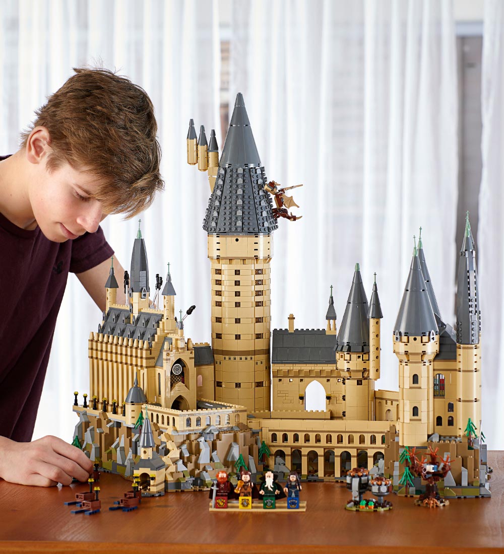 LEGO® Harry Potter - Hogwarts-slottet 71043 - 6020 Dele