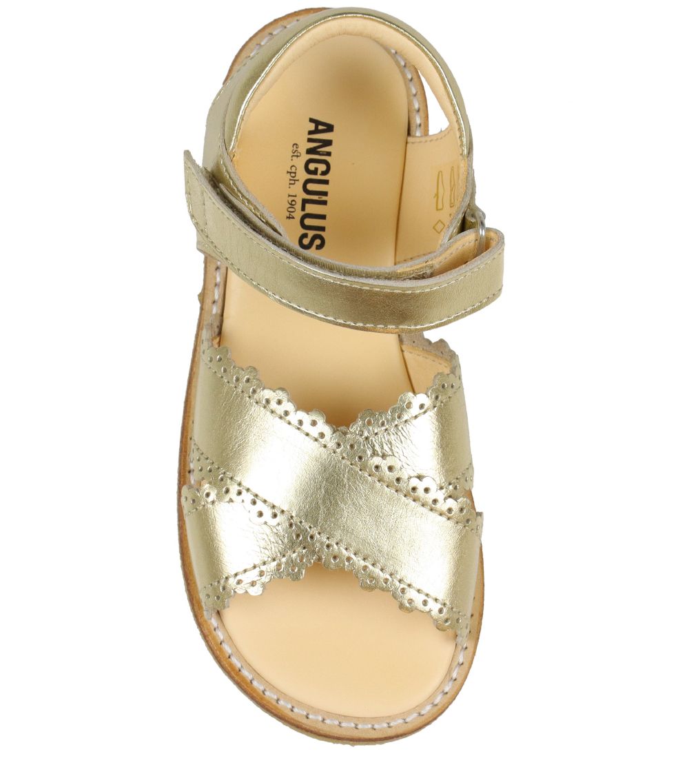Angulus Sandaler - Guld