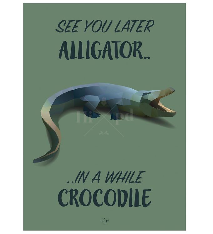 Image of Hipd Plakat - A3 - Krokodille - OneSize - Hipd Plakat (66122-355767)