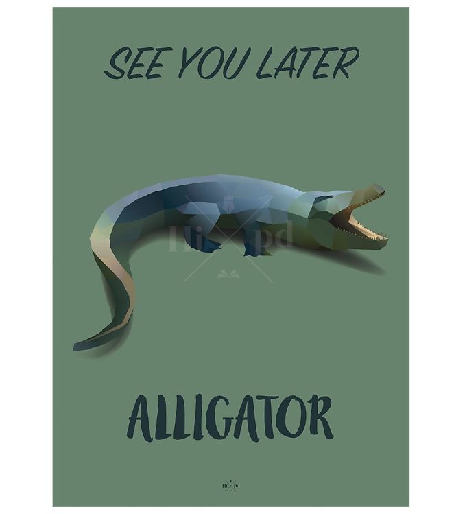 Image of Hipd Plakat - A4 - Alligator - OneSize - Hipd Plakat (66123-355768)